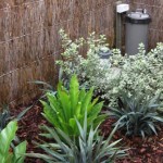 create strategic shaded areas for plants