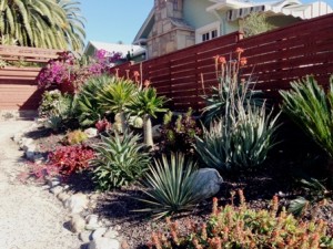 gradient using water efficient garden with shade