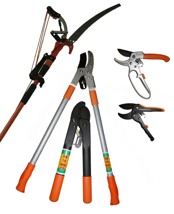 10 Gardening Tools For Bad Backs, Seniors & Weak Hands How Does Your