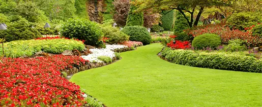 Your lawn is the first impression that you give to any visitor