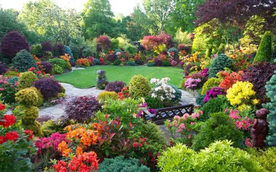 Beautiful garden planted with climate zone specific plants