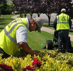 commercial landscapers at work