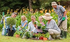 senior couple gardening with family