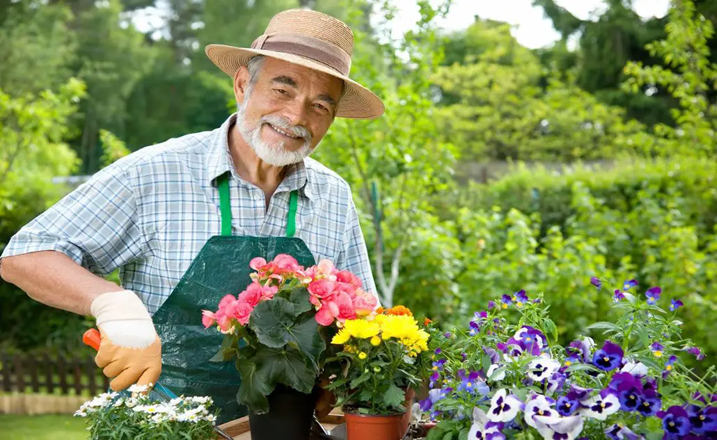 senior man gardening
