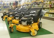 Cub Cadet walk behind mowers