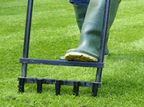 Aerating lawn in spring - best way to aerate lawn