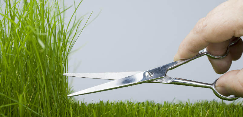 how to cut grass without a lawnmower