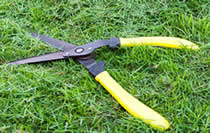 shears - how to cut grass without a lawnmower