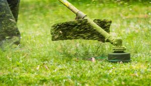 cordless edger with blade