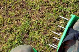 don't aerate on very wet soil