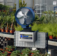 greenhouse heating system