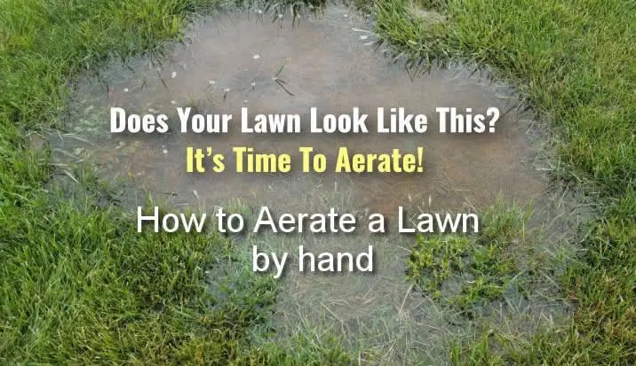 how to aerate lawn by hand