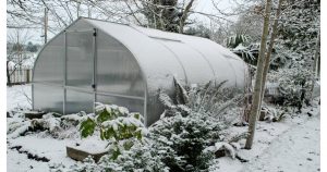 2 Ways To Winterize Your Greenhouse For Plant Growth – How Does Your ...