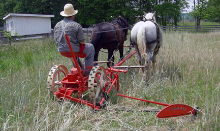 photo of restored champion lawn mower in use