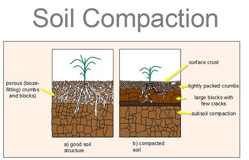 soil compaction - how to aerate lawn by hand
