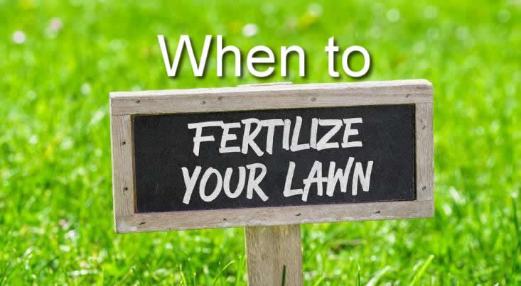 When to Fertilize Your Lawn