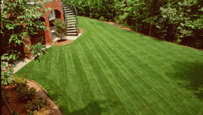How to Plant a New Lawn Over an Old Lawn
