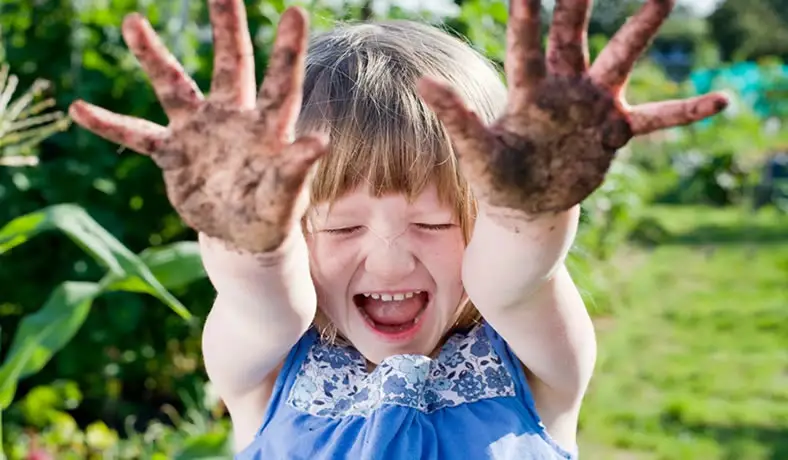Kid with soiled hands from gardening