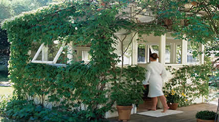 sauna shed