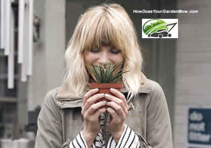 Woman smelling aloe plant