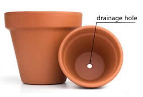 Terracotta pot with good drainage