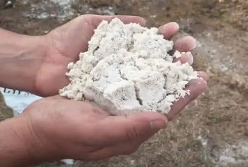 Powdered gypsum