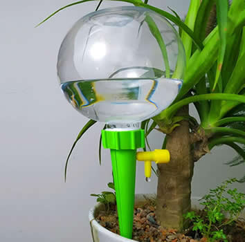 Succulent watering globe