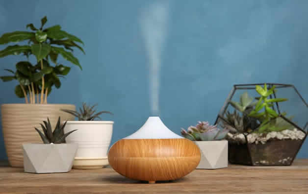 Plant humidifier in action