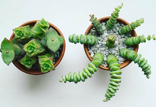 Propagate String of Buttons