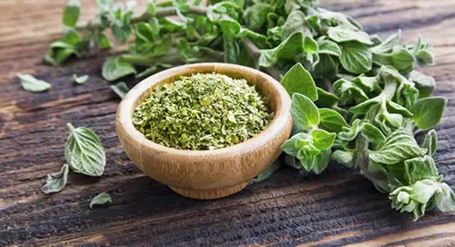oregano in bowl